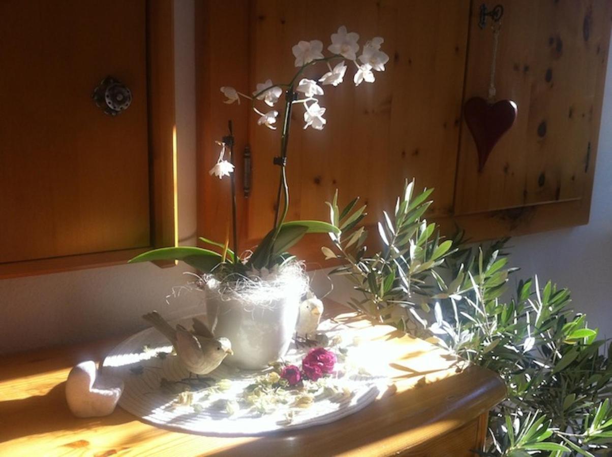 Pension Und Apartment Edelweiss Heiligenblut Eksteriør bilde